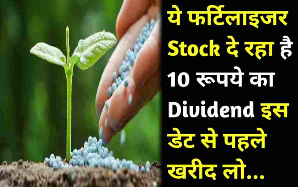Dividend stock