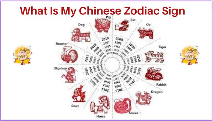 Chinese Zodiac Sign